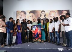 ‘నెల్లూరి నెరజాణ’ టీజర్‌, ఫస్ట్‌లుక్‌ విడుదల