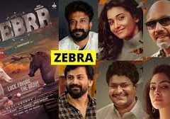'Zebra' in the process of completing the dubbing part