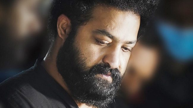 Why should NTR come?