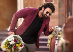 ‘రాజా సాబ్’కు 183 కోట్ల గ్రాస్ వసూళ్లు