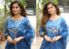 Telugu cinema is very advanced: Heroine Rasha Thadani